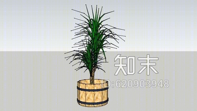 盆栽植物SU模型下载【ID:620903948】