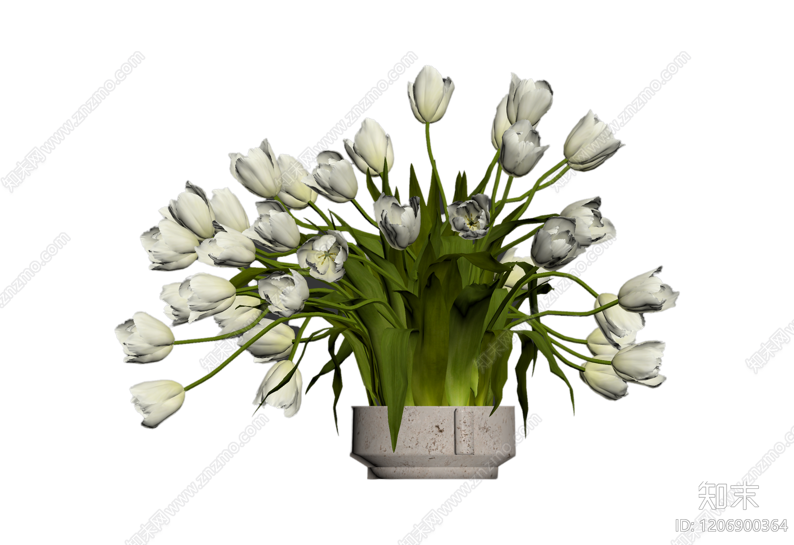 白色郁金香花束盆栽3D模型下载【ID:1206900364】