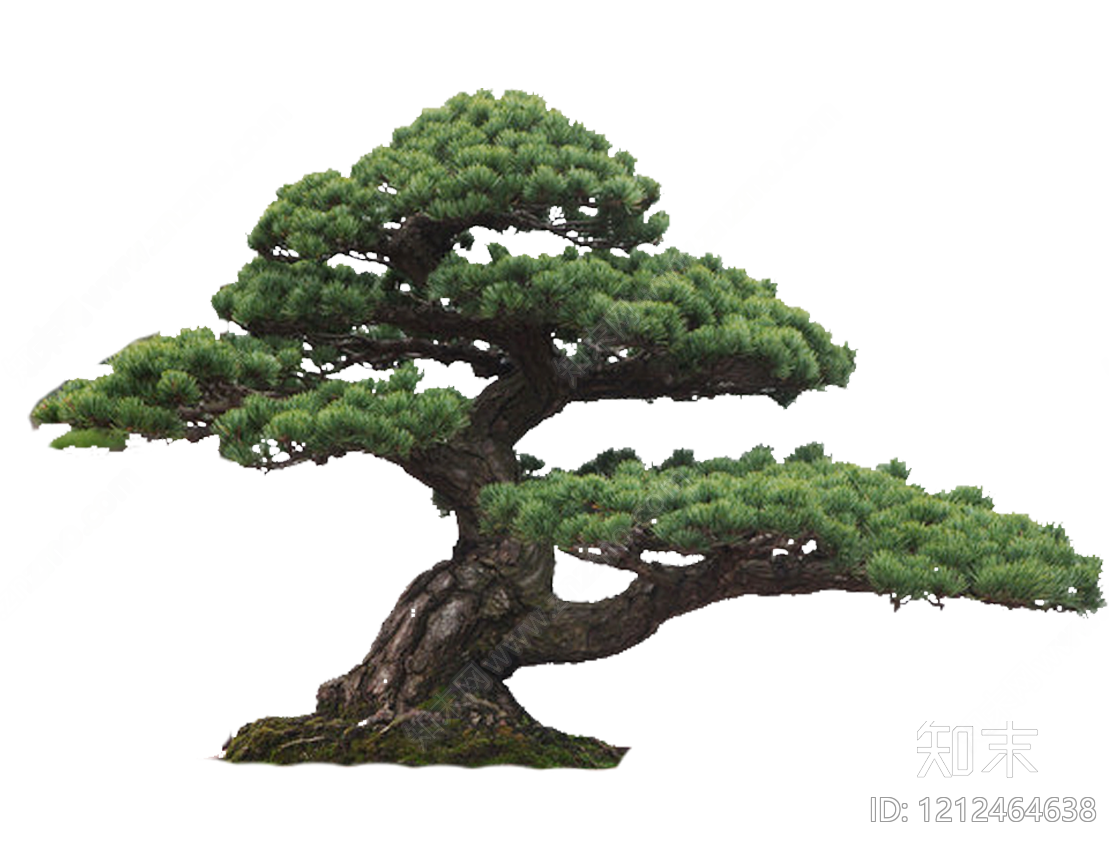 树皮纹理贴图下载【ID:1212464638】