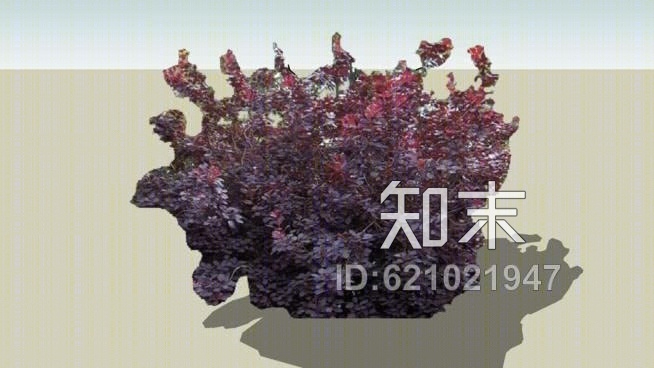 smokebushSU模型下载【ID:621021947】