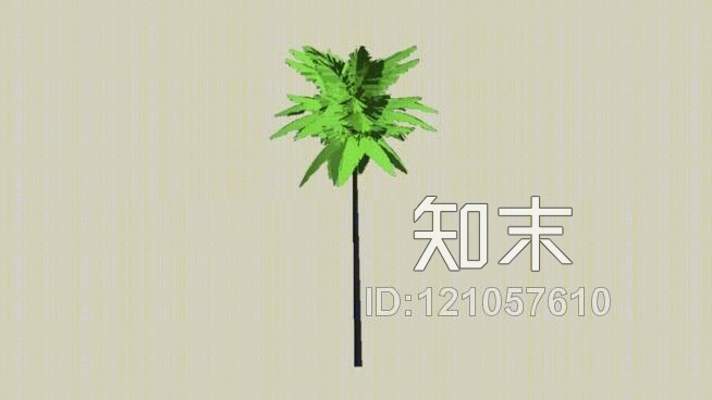 椰子树（没有可可）！SU模型下载【ID:121057610】