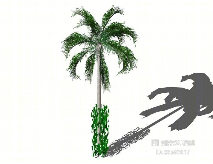 有爬藤的槟榔树SU模型下载【ID:26596817】