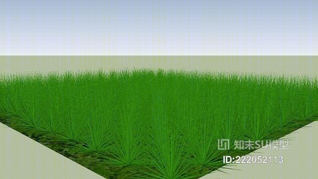 草坪草SU模型下载【ID:222052113】