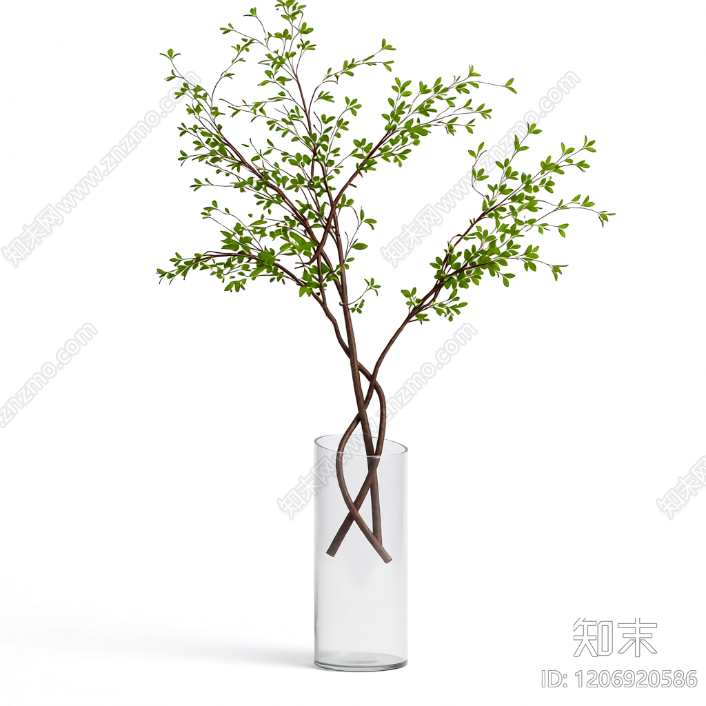 盆栽植物装饰3D模型下载【ID:1206920586】
