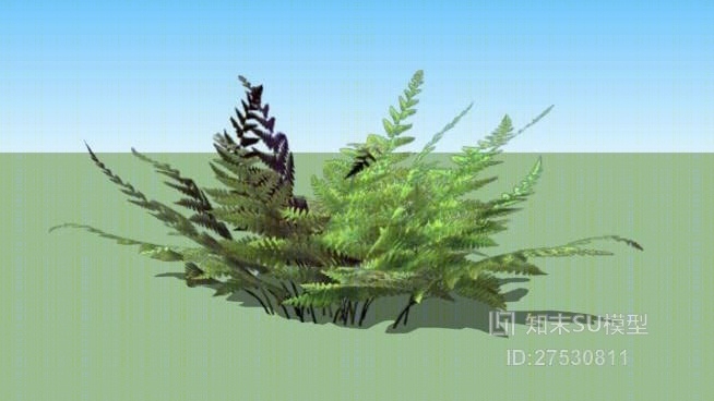 草SU模型下载【ID:218198167】