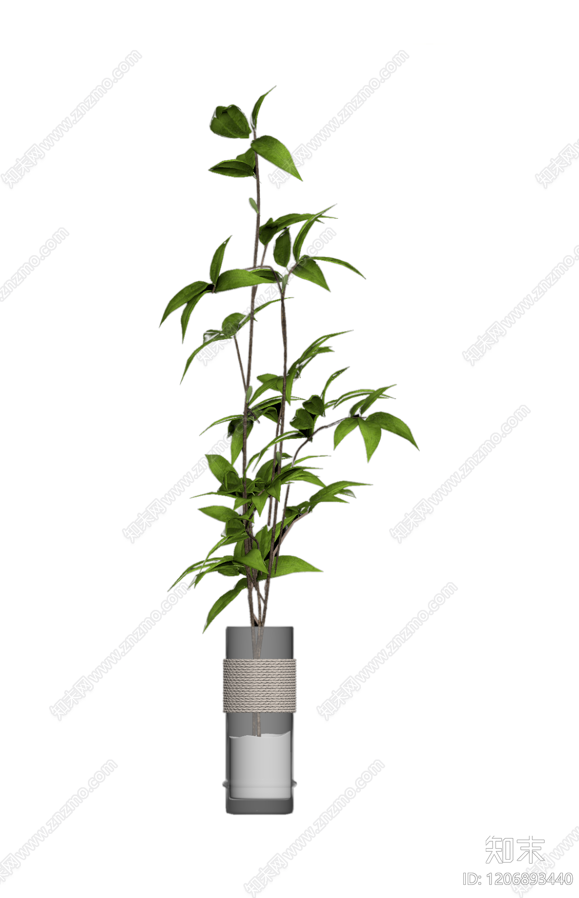 盆栽植物装饰3D模型下载【ID:1206893440】