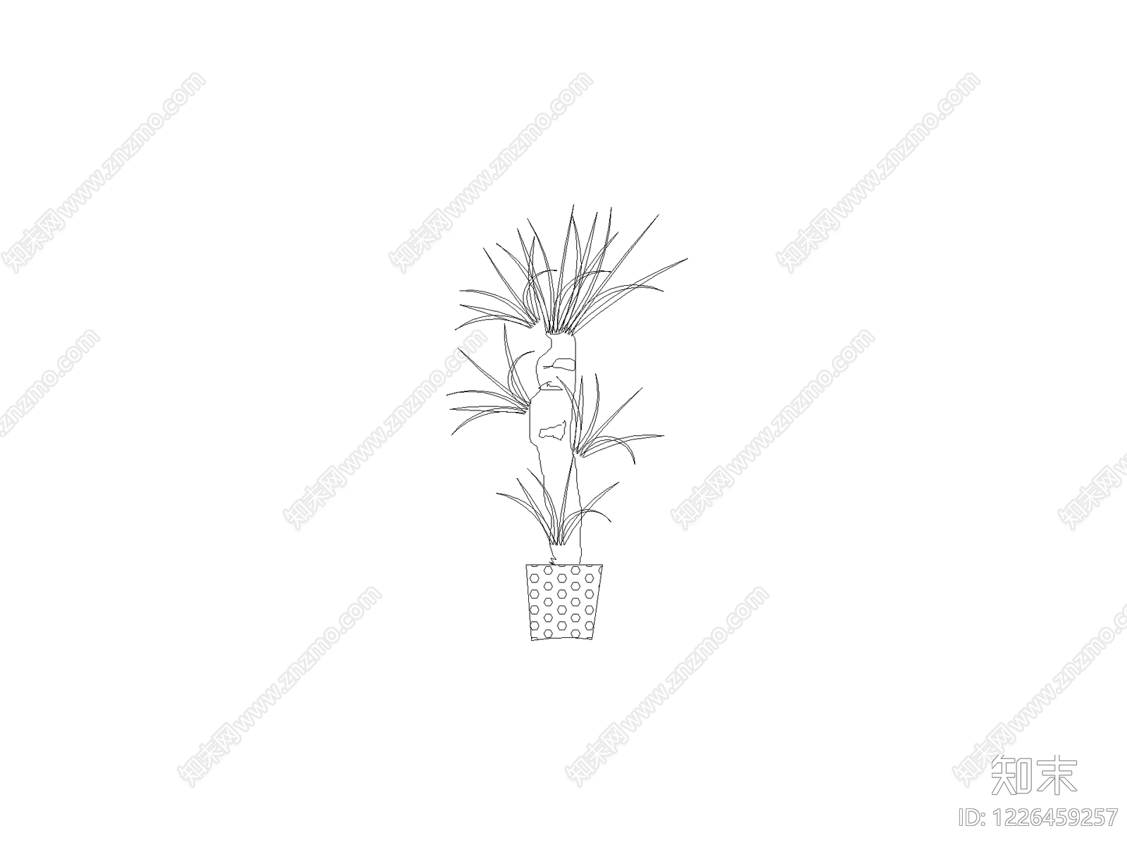 绿植cad施工图下载【ID:1226459257】