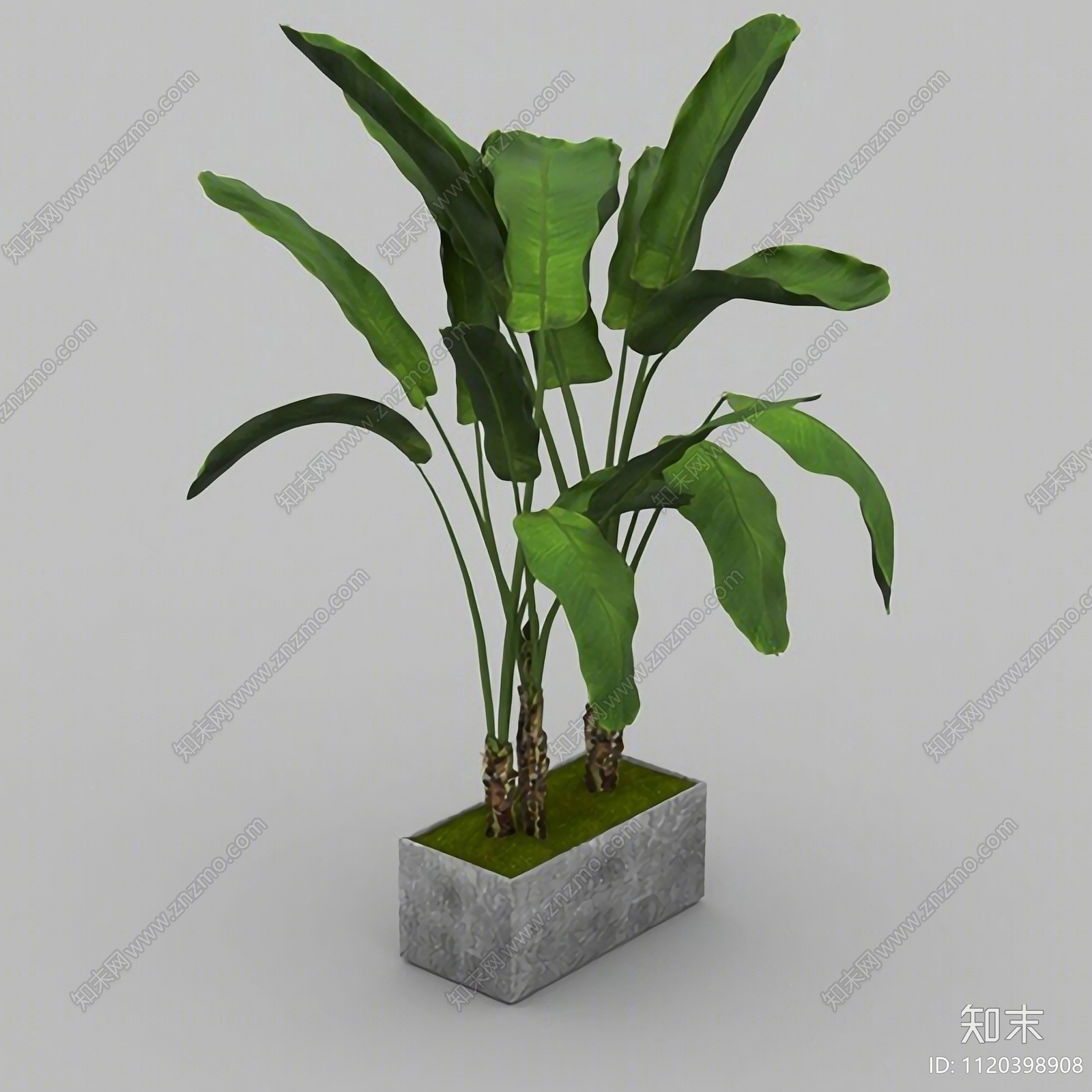 绿植盆栽免费3D模型下载【ID:1120398908】