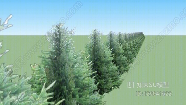 苹果园周围的松树，匈牙利SU模型下载【ID:126041622】