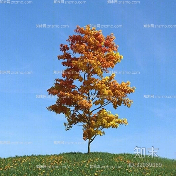 黄色树3D模型下载【ID:32039069】