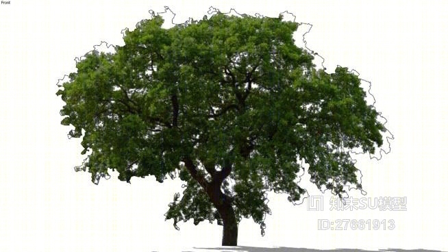 树SU模型下载【ID:27661913】