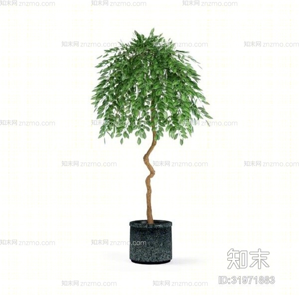 绿色盆栽3D模型下载【ID:31971883】