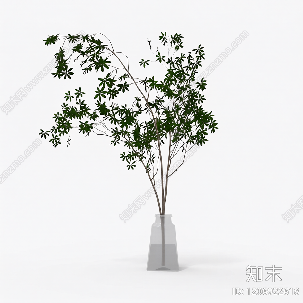 盆栽植物带花盆3D模型下载【ID:1206922618】