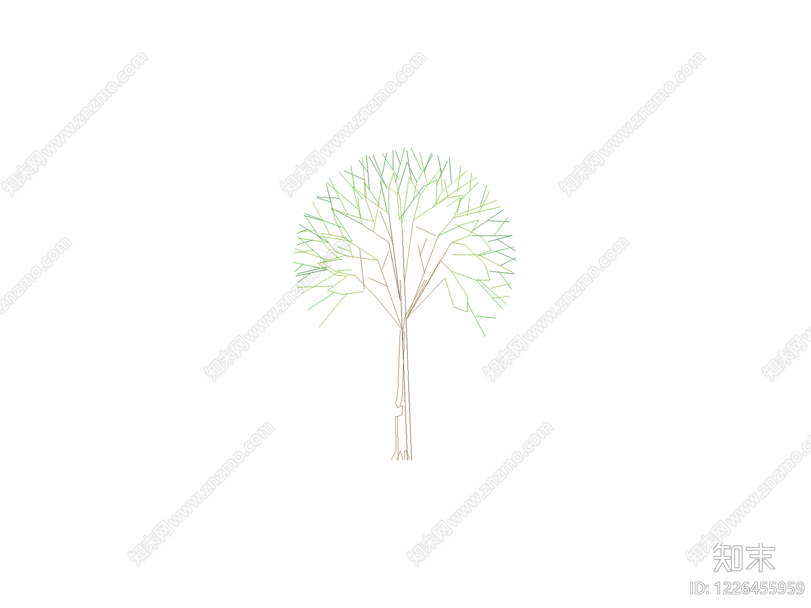 乔木种植CAD图纸
