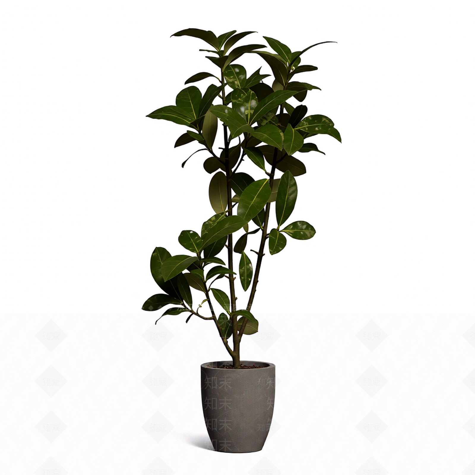 带盆绿色盆栽3D模型下载【ID:1206191373】