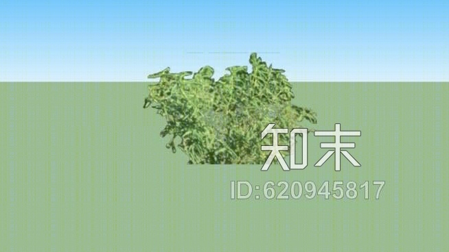 豌豆SU模型下载【ID:620945817】