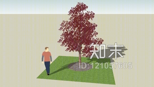 紫荆树SU模型下载【ID:121057605】