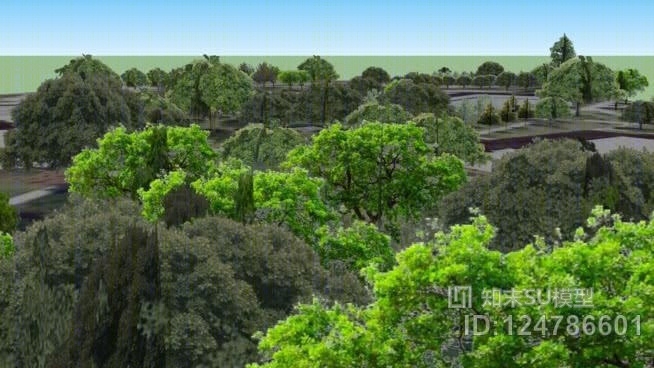 校园树木SU模型下载【ID:124786601】