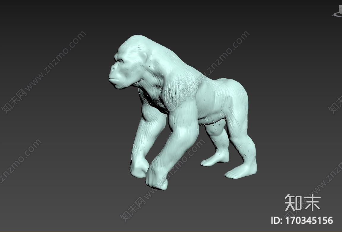 大猩猩Gorilla_t3d打印模型下载【ID:170345156】