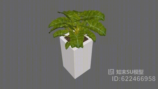 无血管植物SU模型下载【ID:622466958】