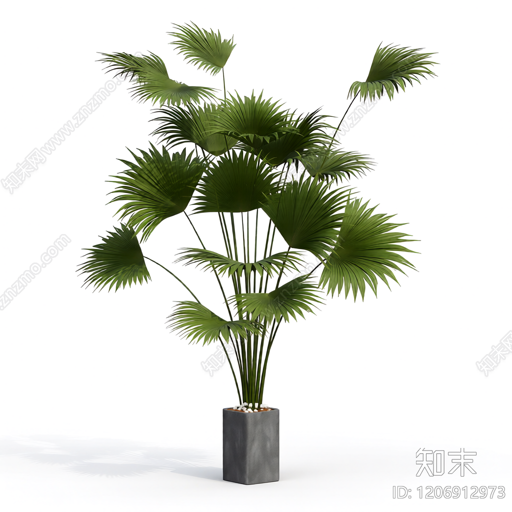 盆栽棕榈植物装饰3D模型下载【ID:1206912973】