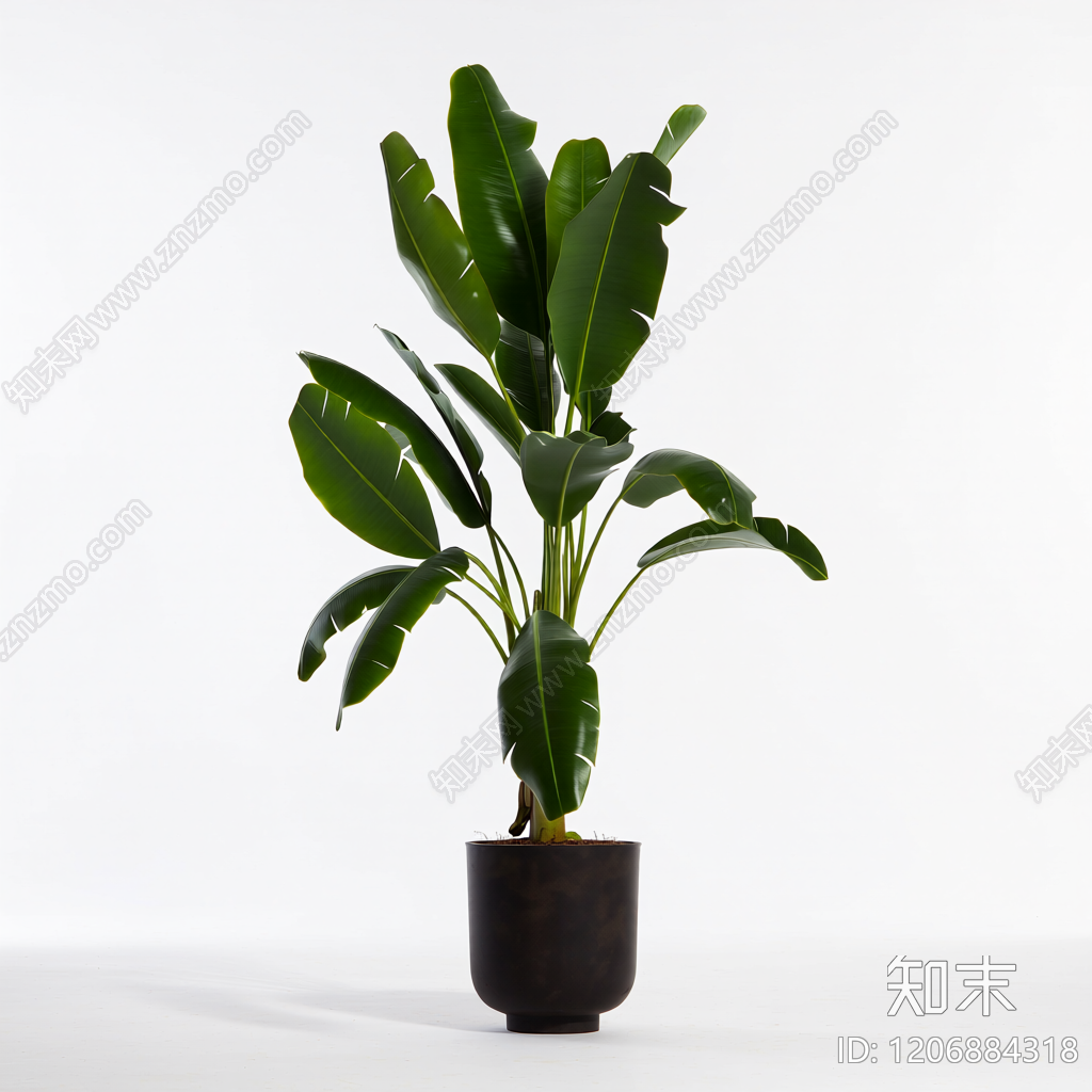 盆栽植物3D模型下载【ID:1206884318】