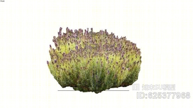 薰衣草SU模型下载【ID:625377968】