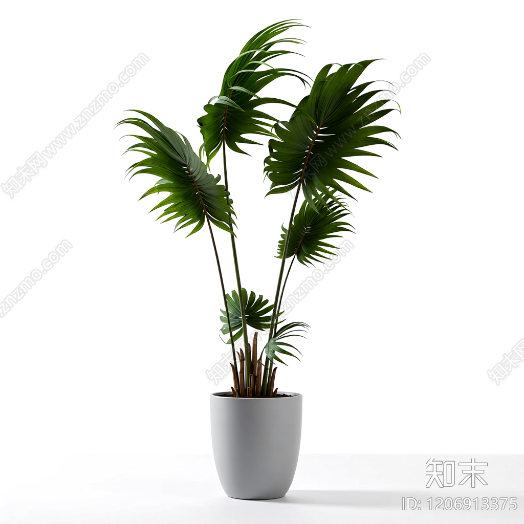 盆栽植物组合3D模型下载【ID:1206913375】