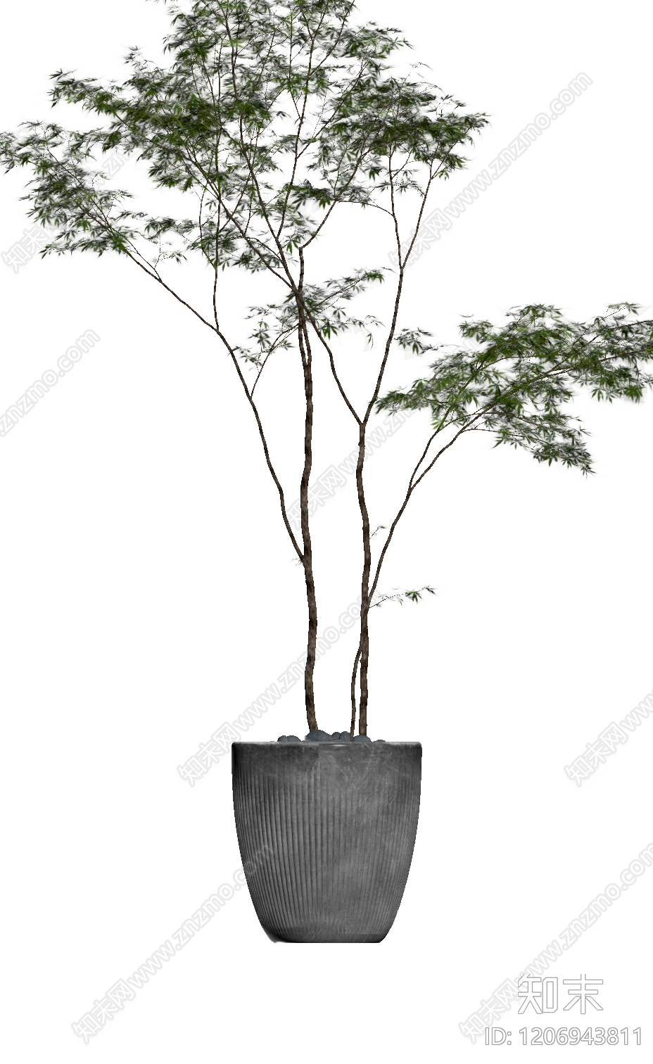 盆栽植物装饰3D模型下载【ID:1206943811】