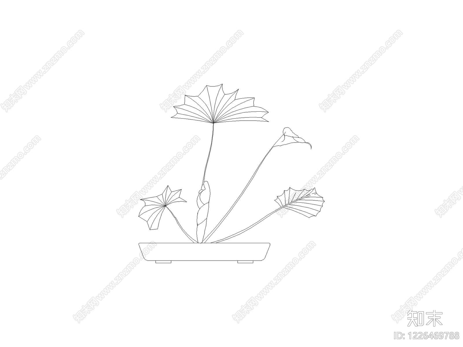 绿植cad施工图下载【ID:1226469788】