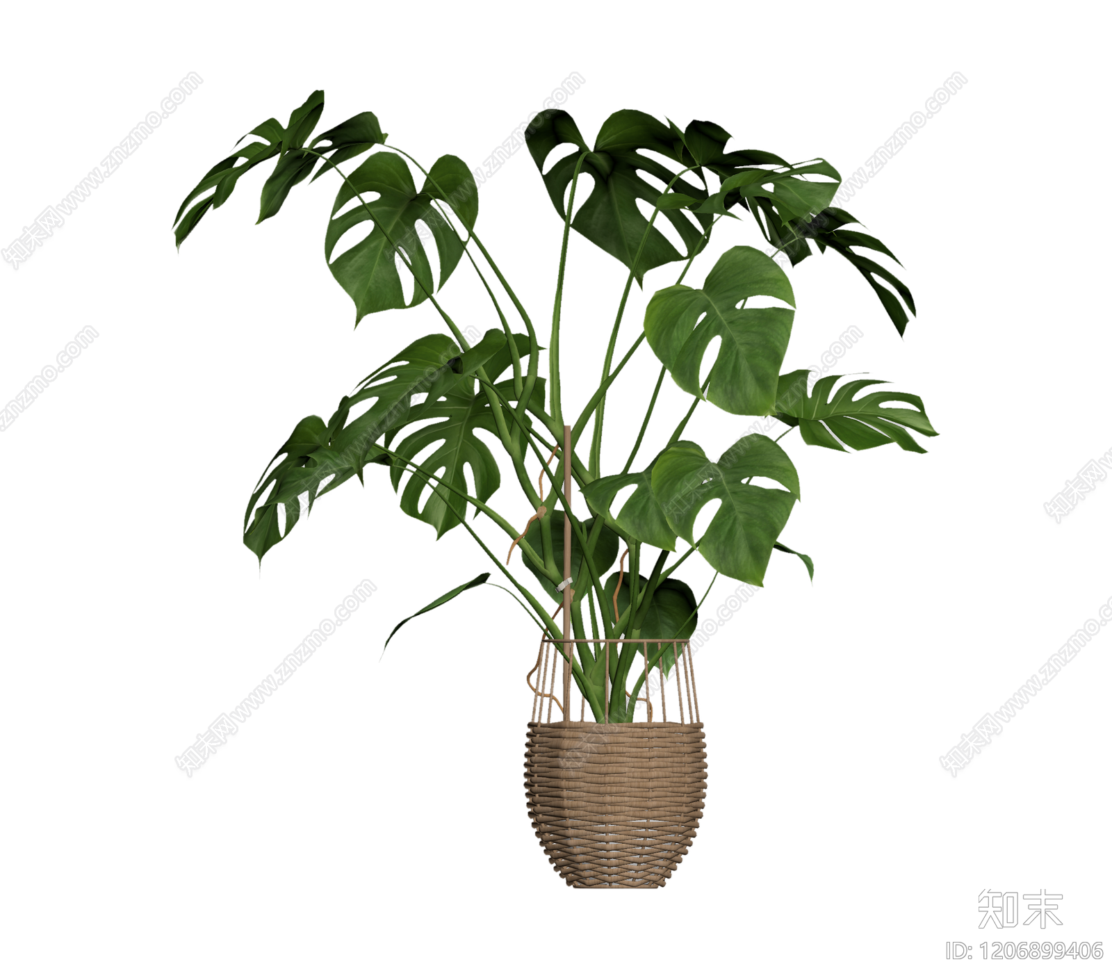 龟背竹盆栽装饰3D模型下载【ID:1206899406】