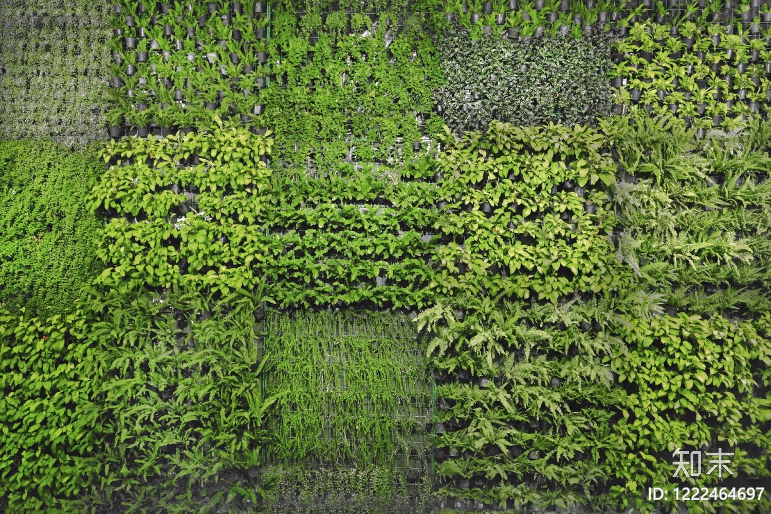 绿植墙贴图下载【ID:1222464697】