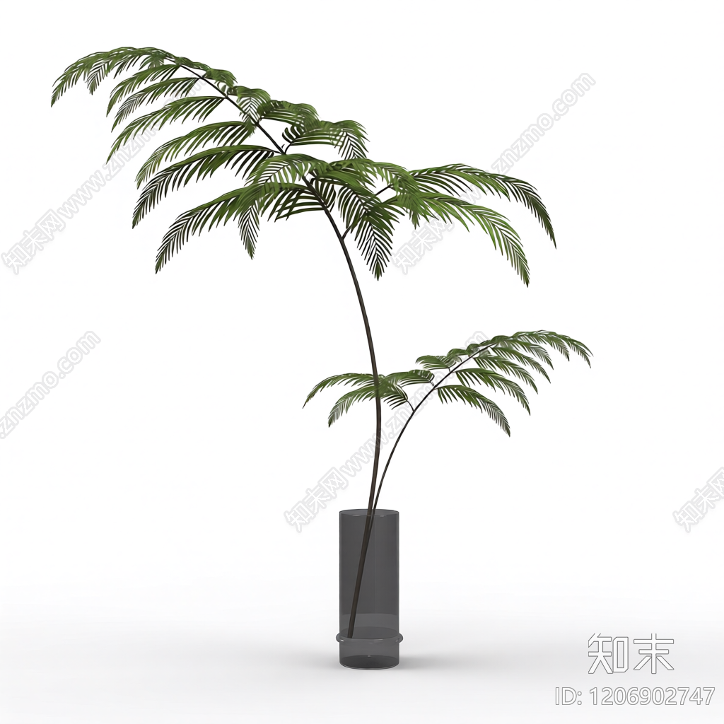 盆栽蕨类植物装饰3D模型下载【ID:1206902747】