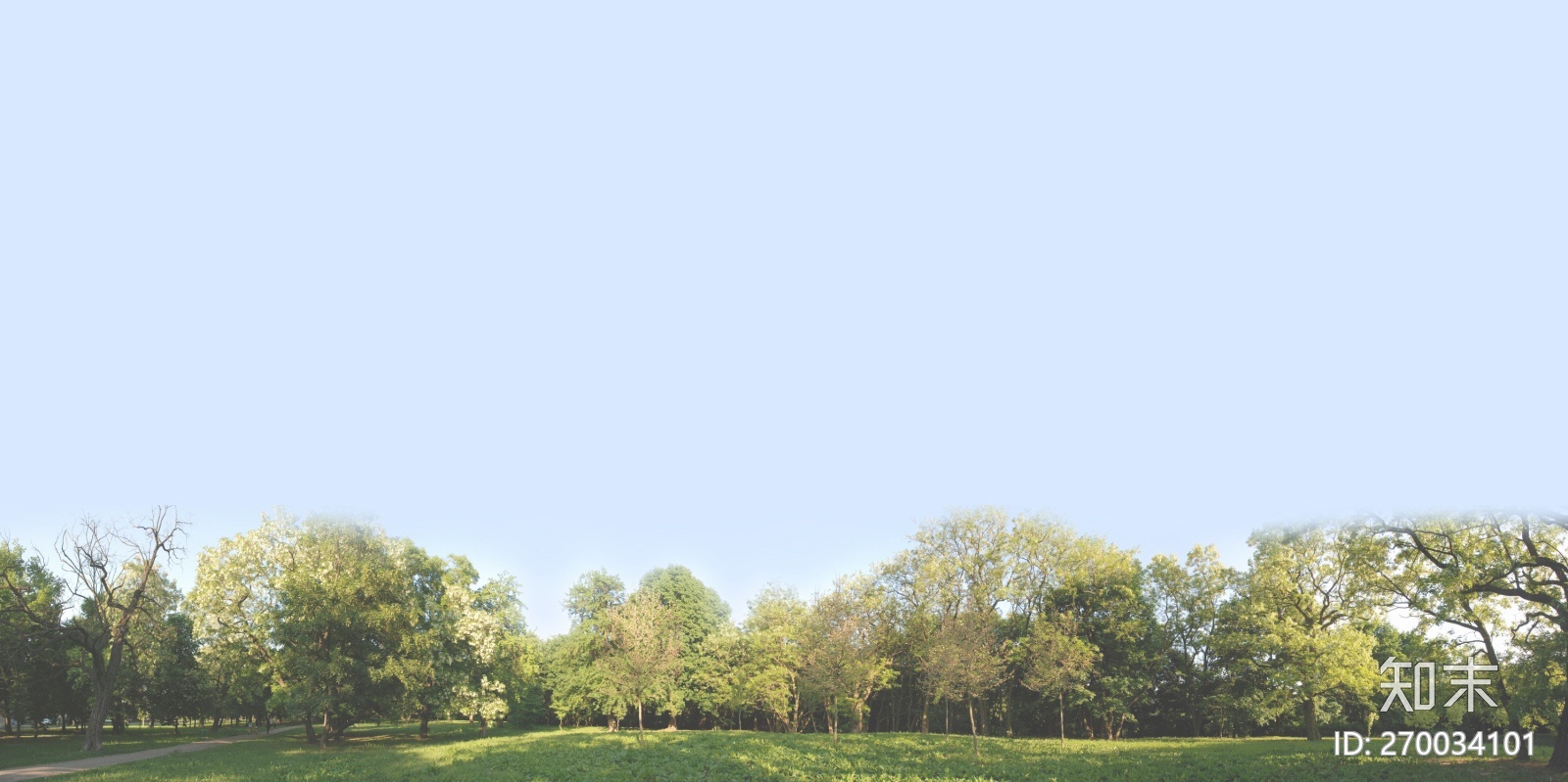 白天森林风景贴图下载【ID:270034101】