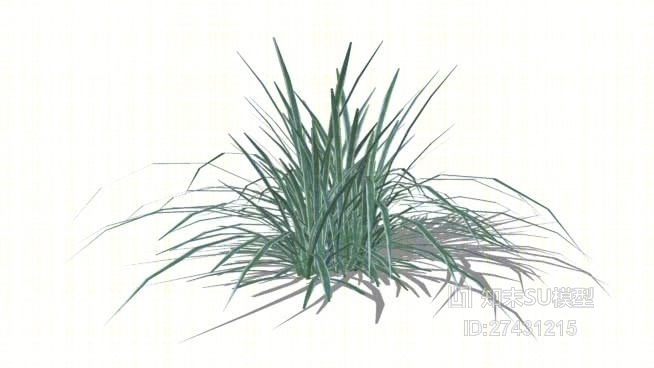 草SU模型下载【ID:217972171】
