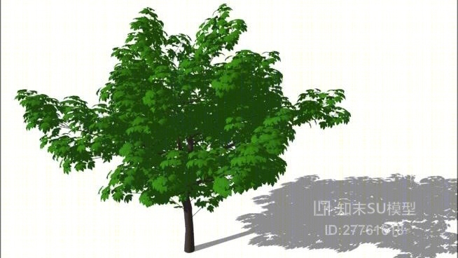 树SU模型下载【ID:27761618】