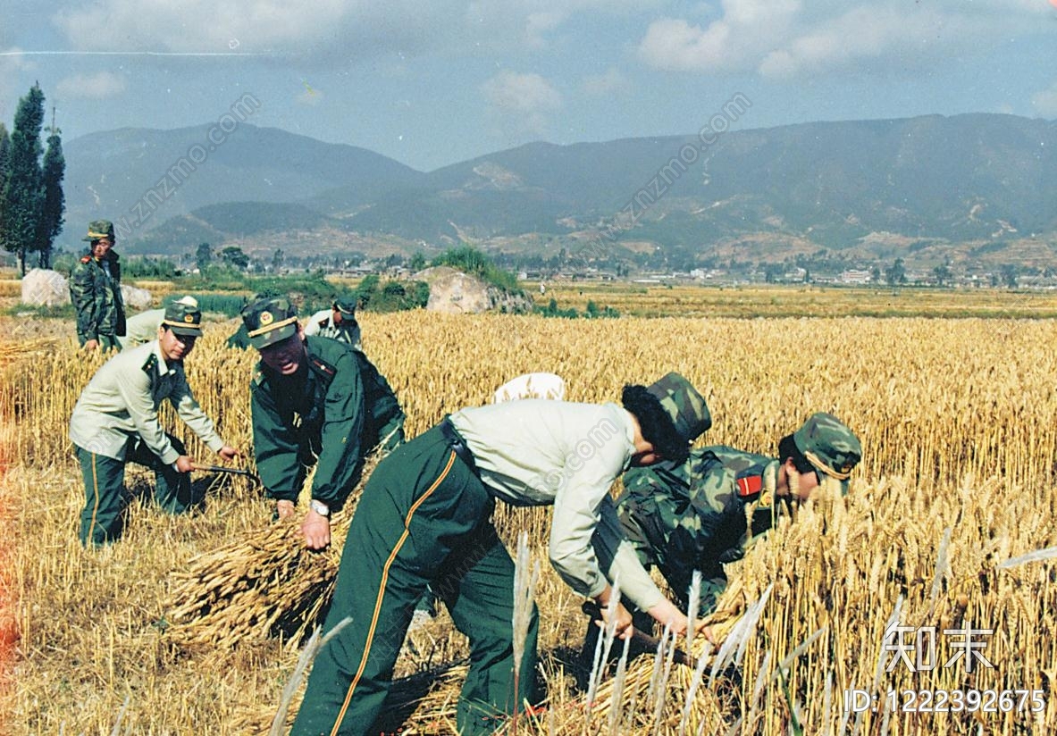 自然地面高清贴图材质