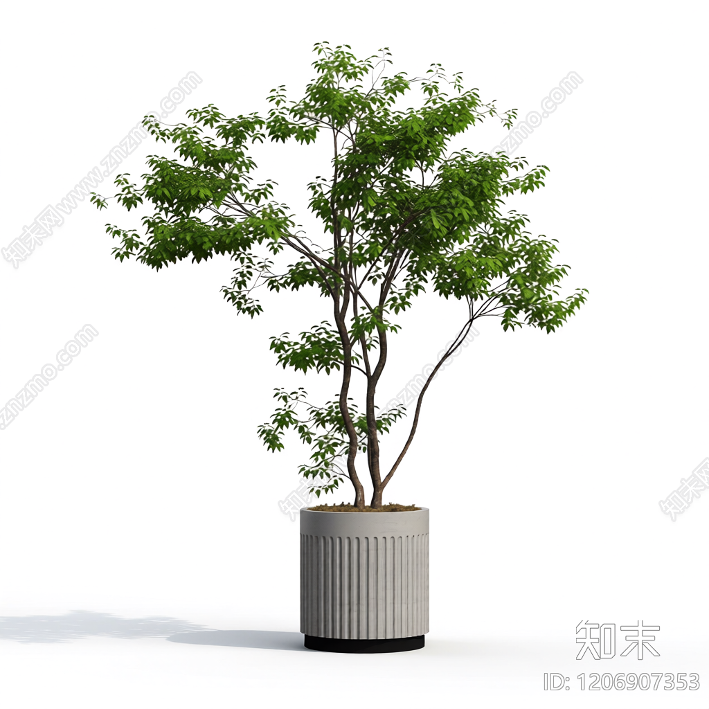盆栽植物组合3D模型下载【ID:1206907353】