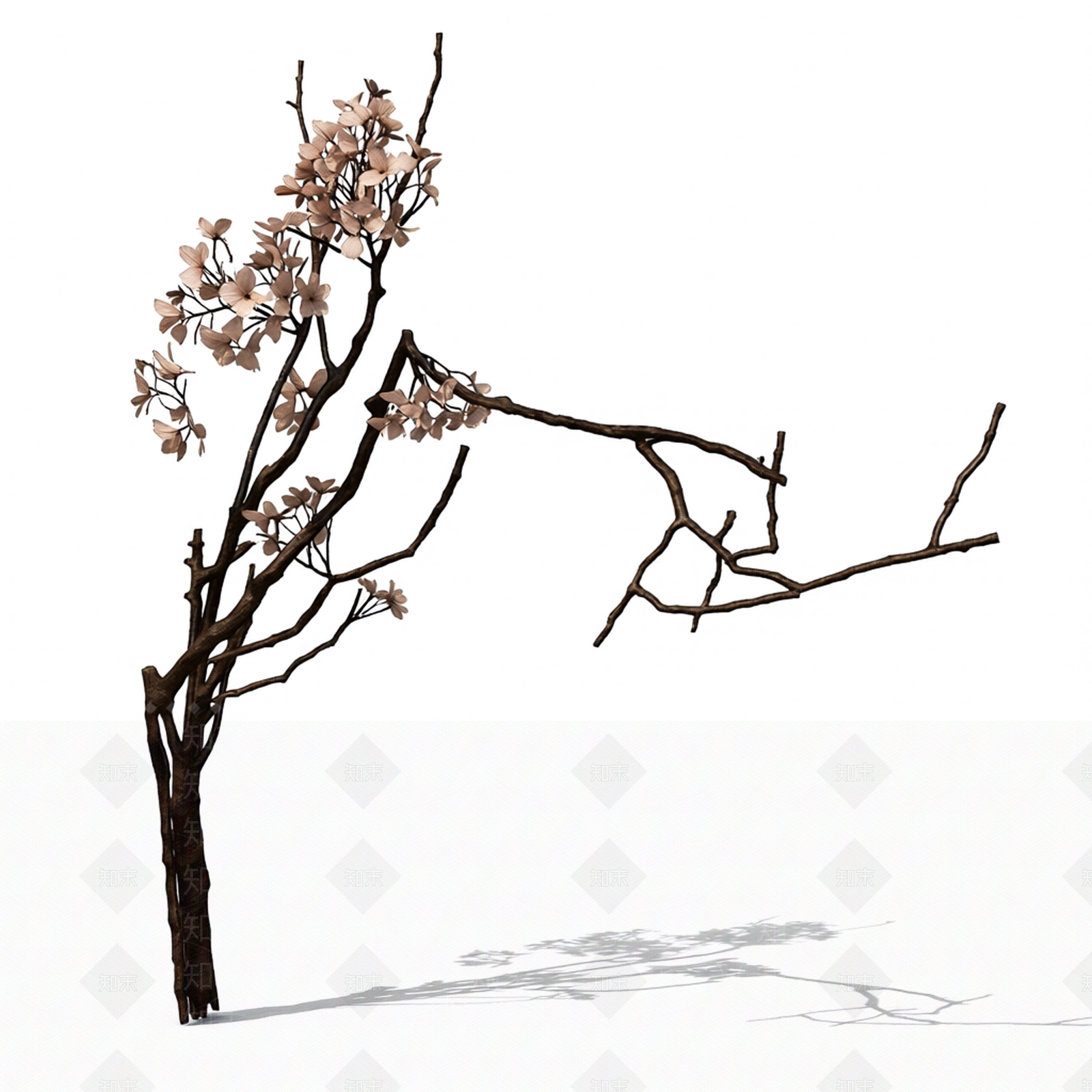 枯枝装饰模型3D模型下载【ID:1206181211】