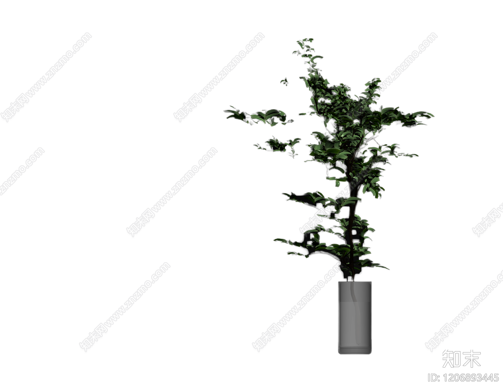 盆栽植物装饰3D模型下载【ID:1206893445】