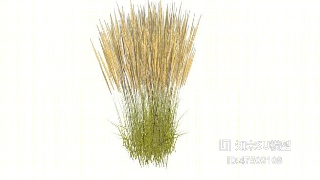 草SU模型下载【ID:218128135】
