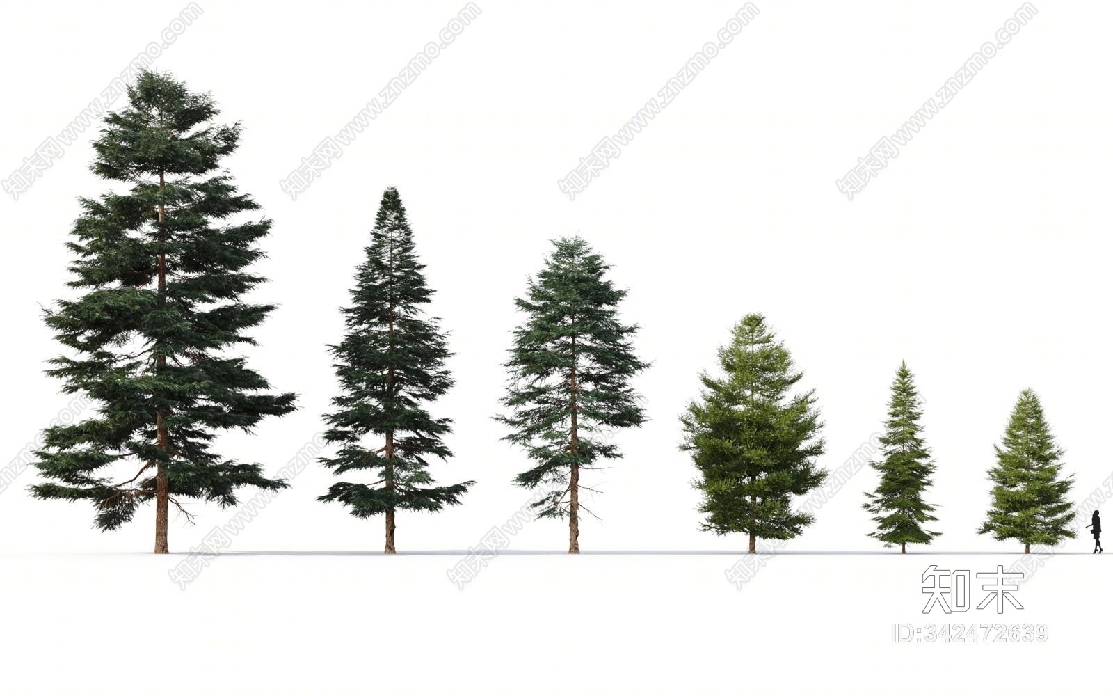 现代树木红云杉3D模型下载【ID:342472639】