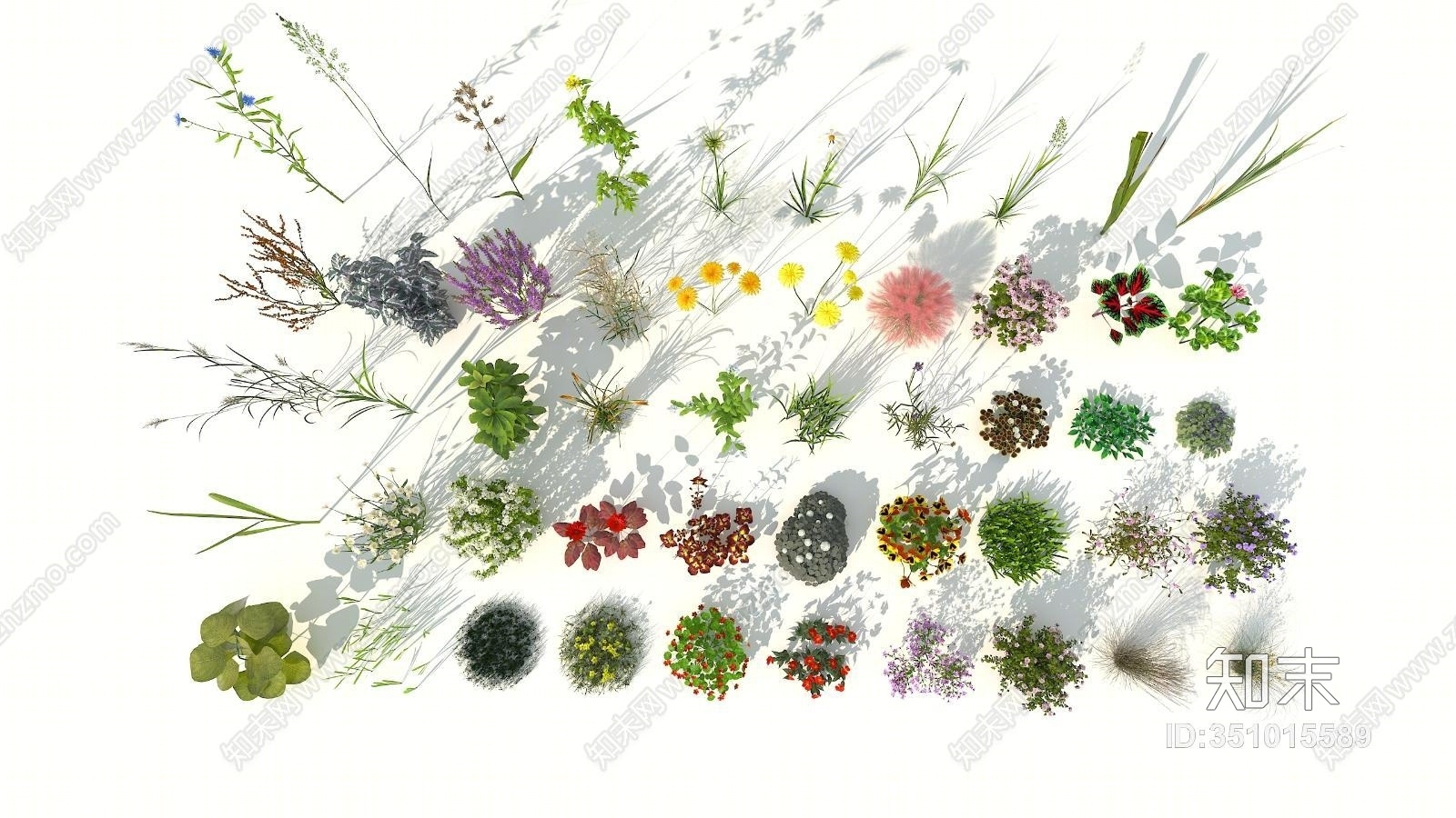 现代花草3D模型下载【ID:351015589】