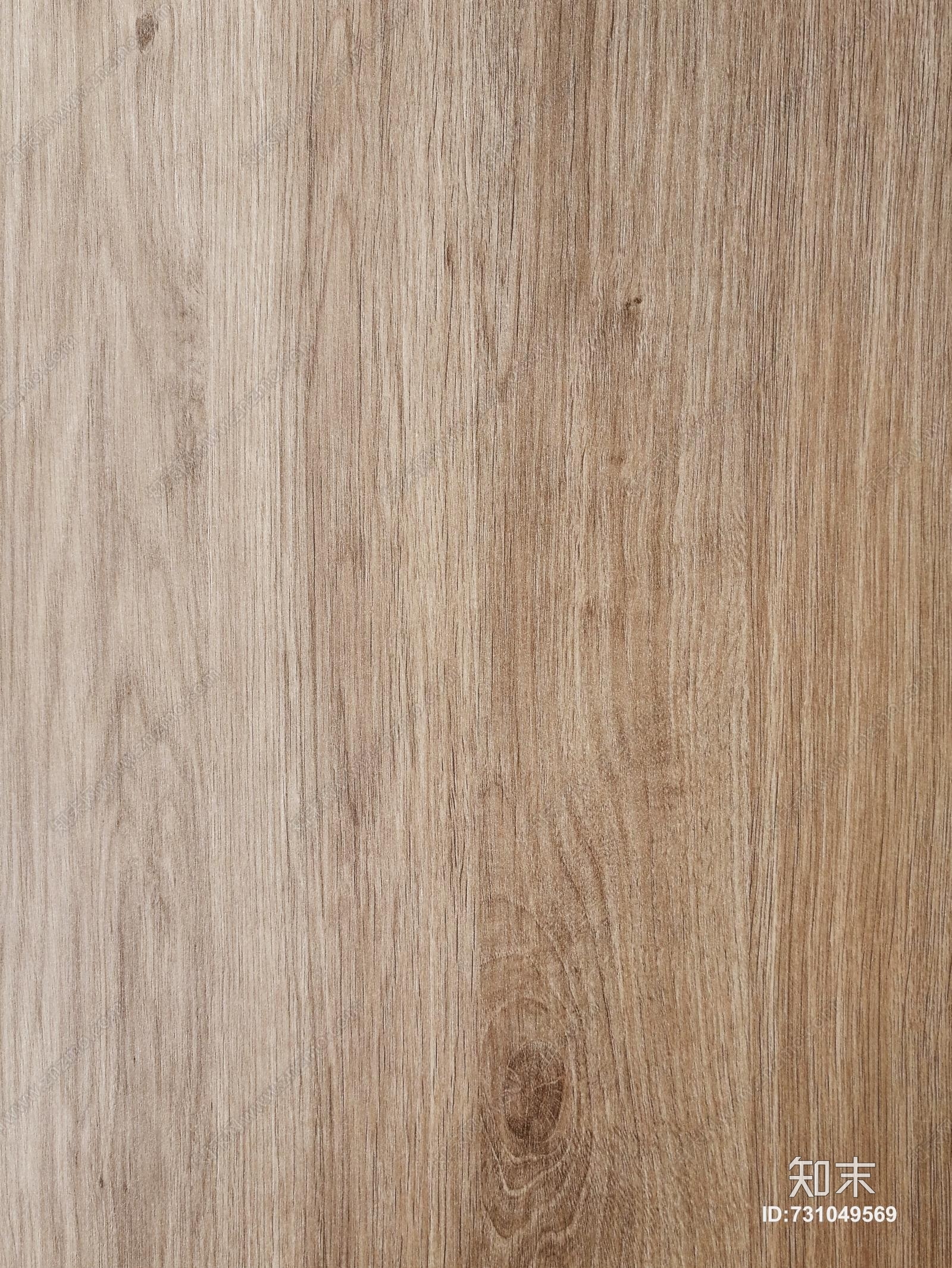 欧洲灰色橡木贴图下载【ID:731049569】