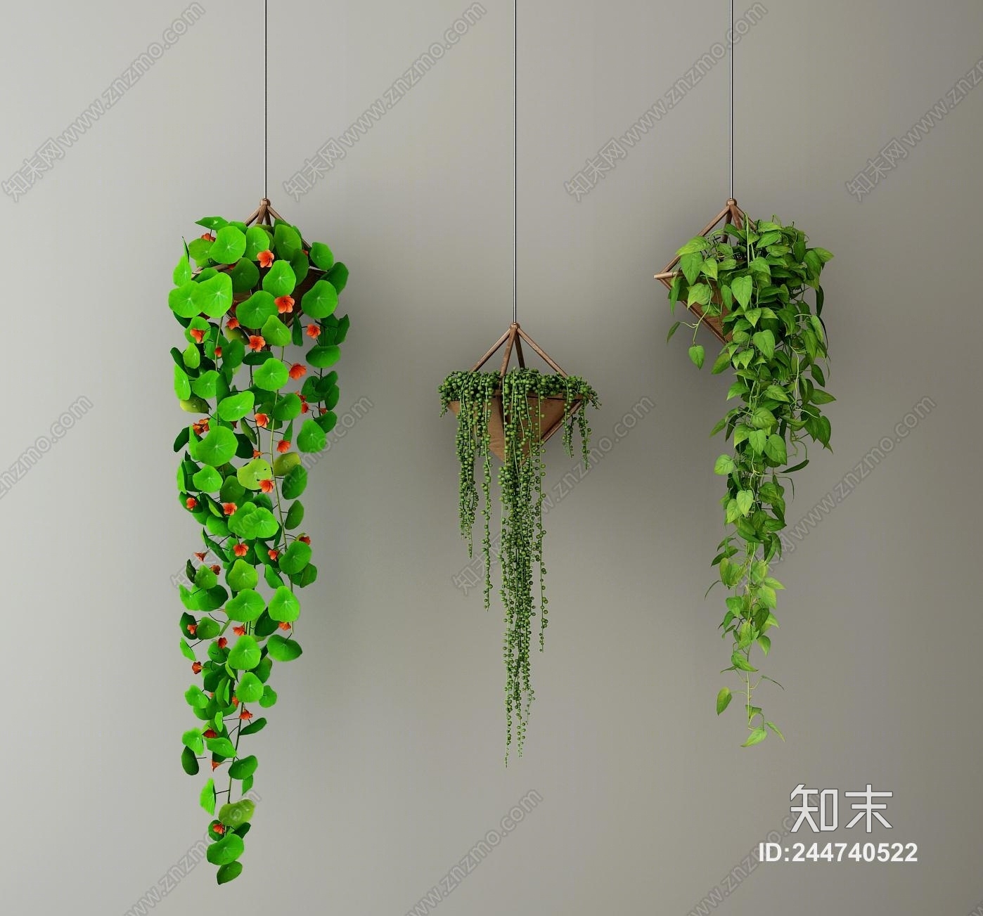 北欧植物吊篮3D模型下载【ID:244740522】