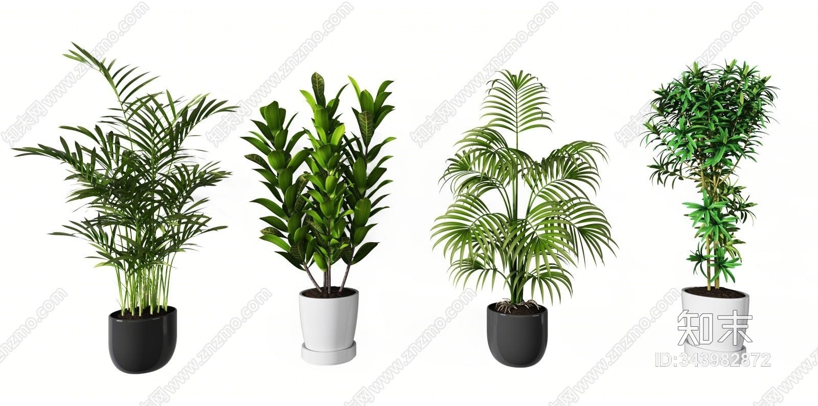 现代植物盆栽组合模型3D模型下载【ID:343982872】