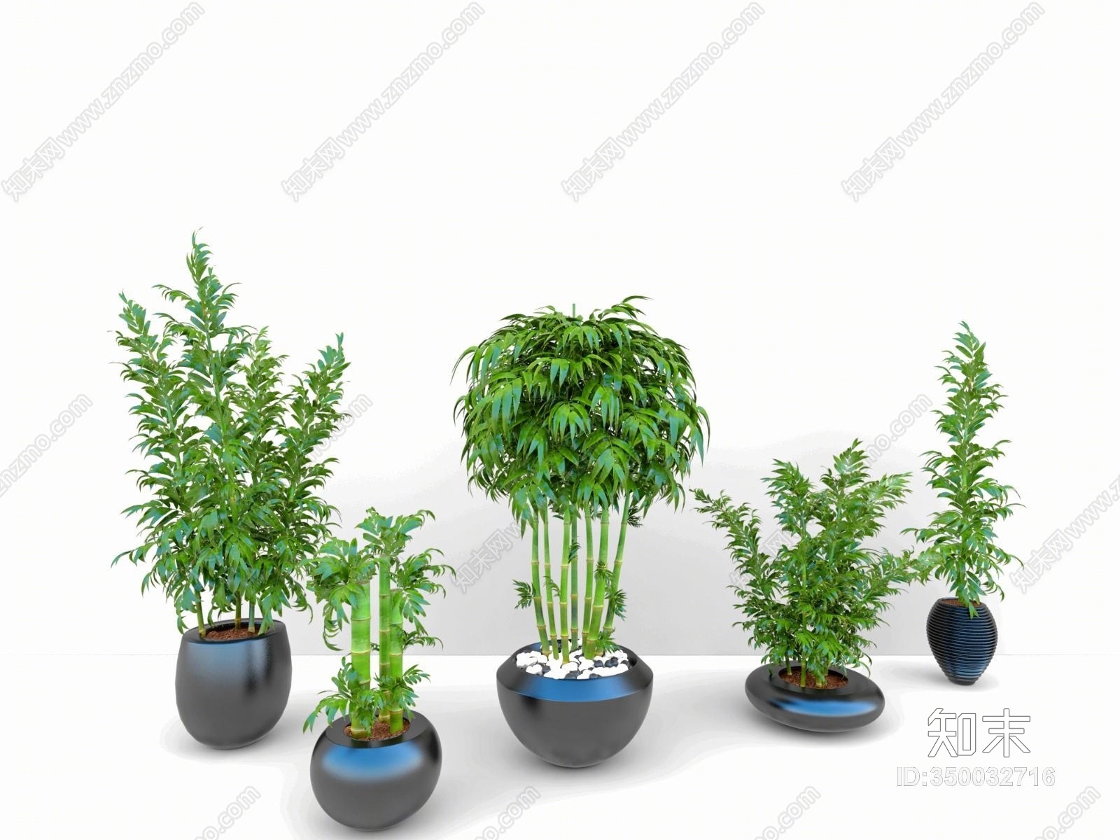 中式竹子盆景3D模型下载【ID:350032716】