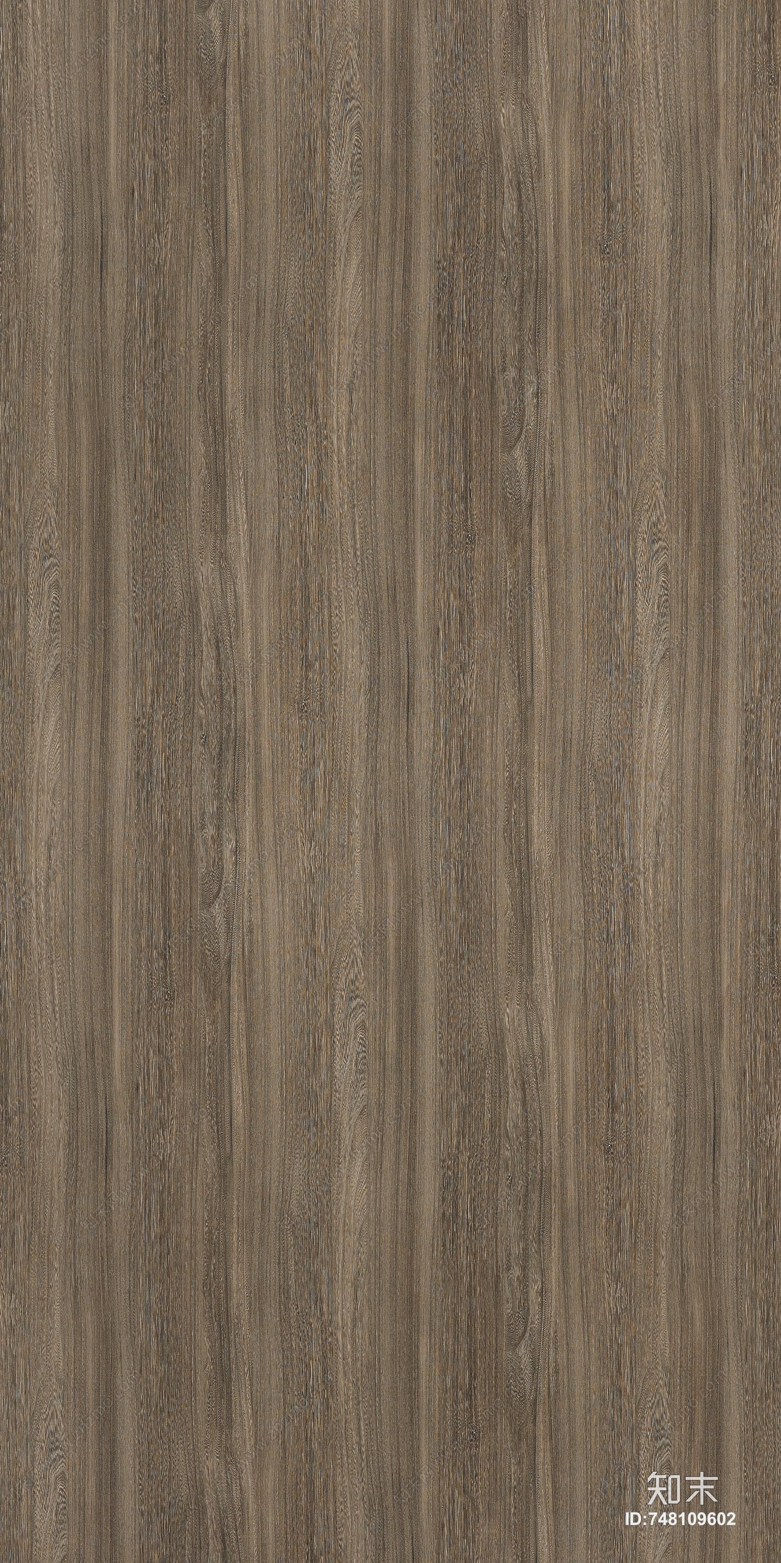 摩卡榆木贴图下载【ID:748109602】