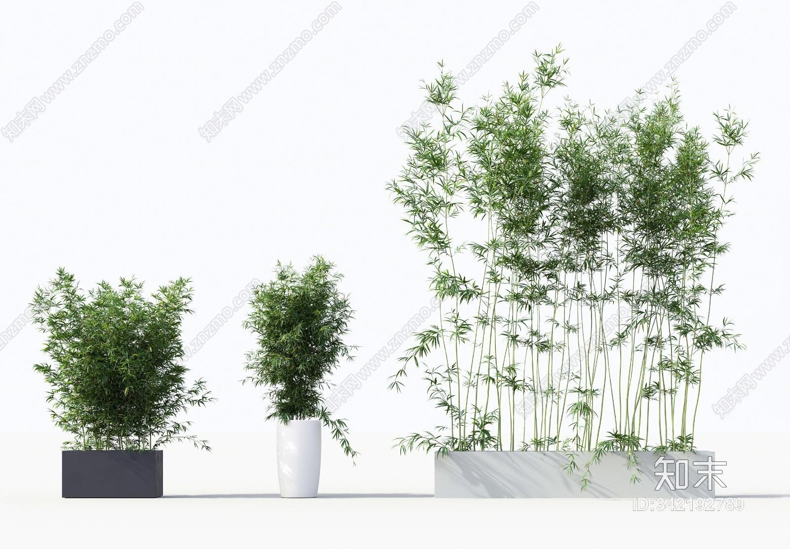 中式竹子绿植盆栽组合3D模型下载【ID:342192789】