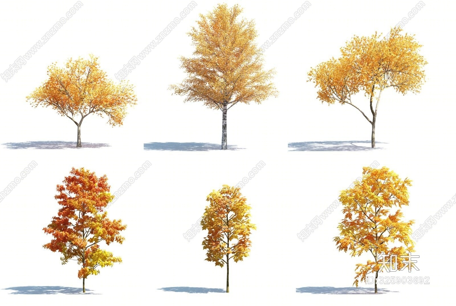 树树木秋季树木秋天植物秋季植物枫树黄叶树红叶树秋天树木3d模型 Id 知末3d模型网